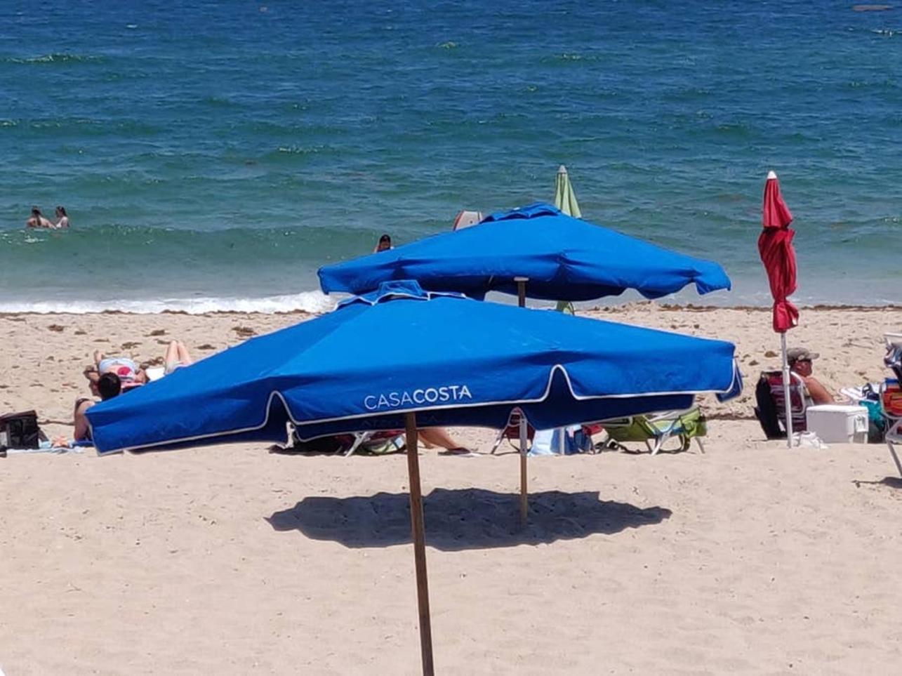 Apartment In Casa Costa Condo!Beach Pass Included 波因顿海滩 外观 照片